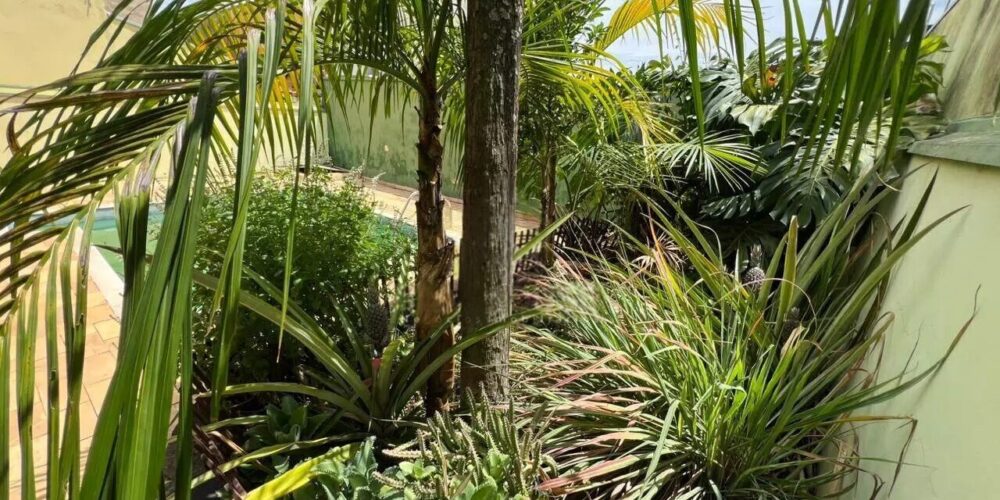 062bbab686f3d7725da25cba