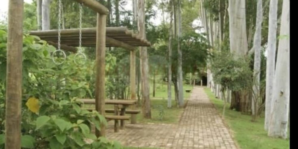 20221017132407467489