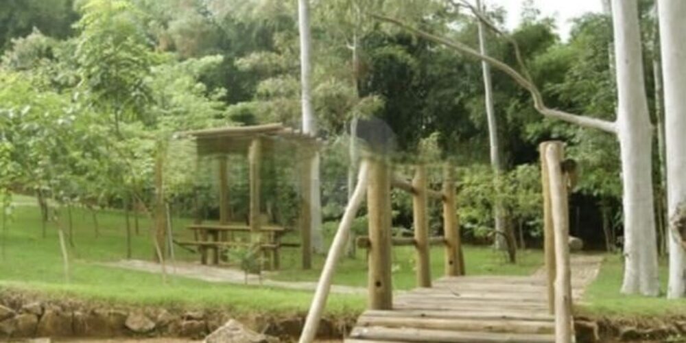 20221017132408709074