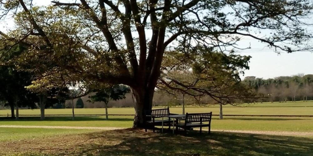 20230315233125983941 (1)