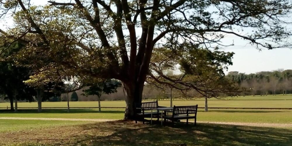 20230315233125983941