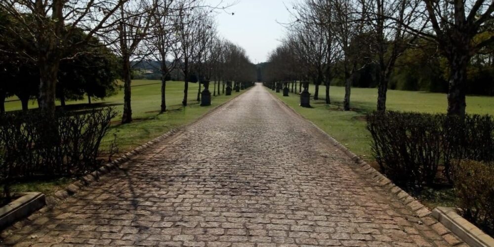 20230315233135631370