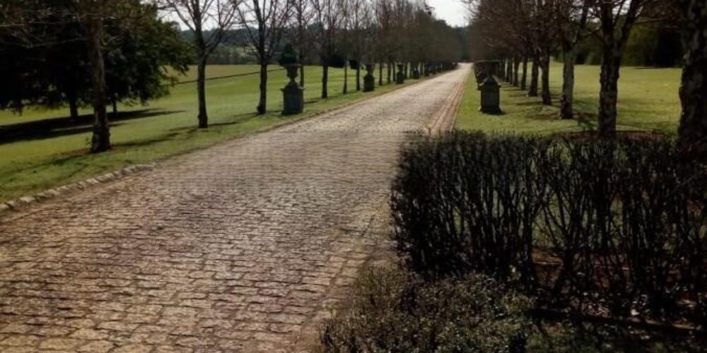 20230315233139684839