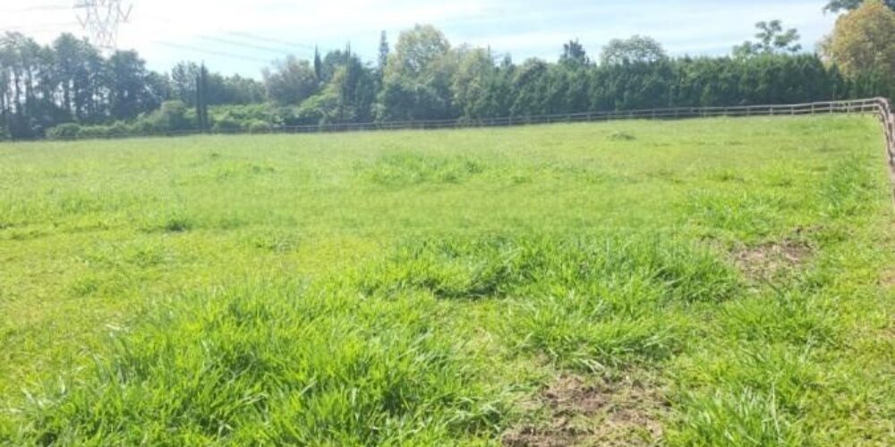 20230315233151726064