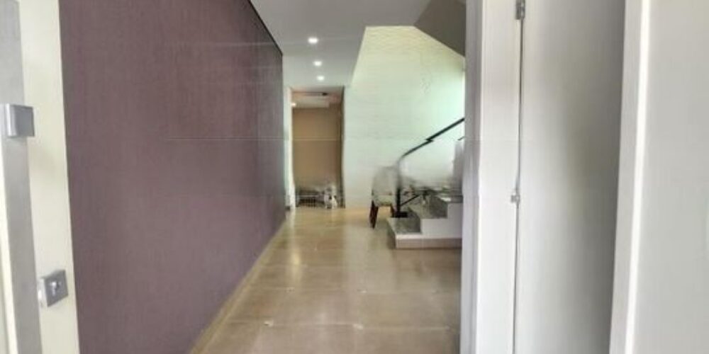 20231125150638458946