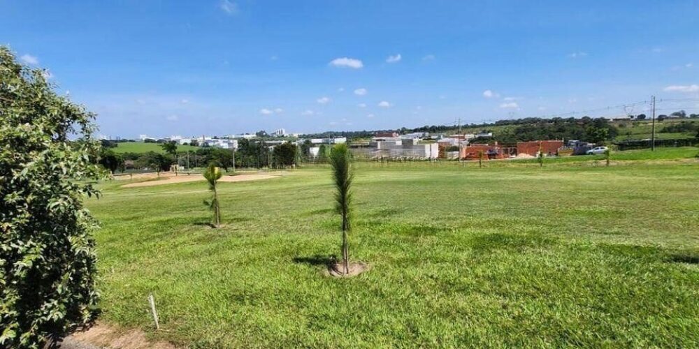 20240304151209908863