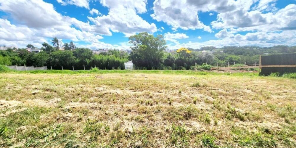 20240411080856897954