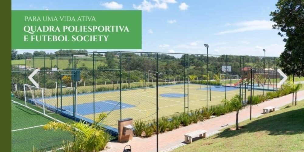 20240411081832299388