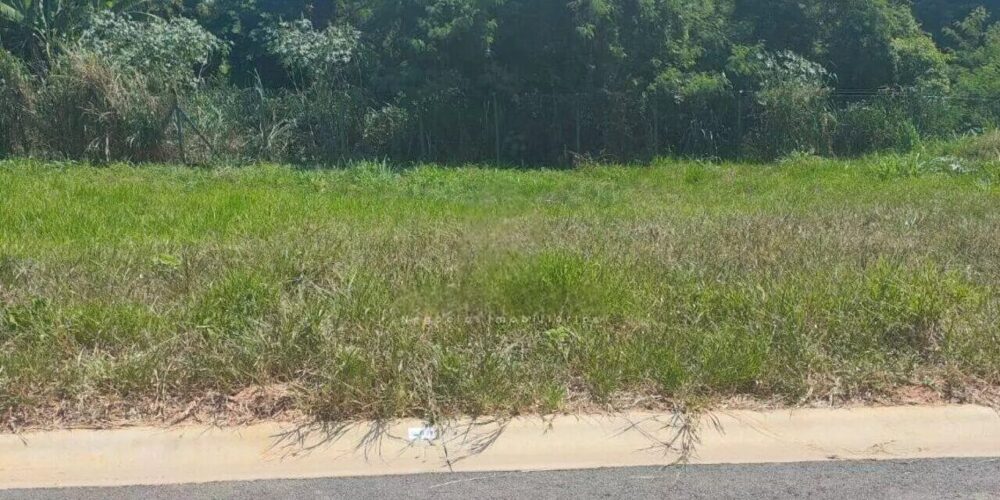 29189d8b4a5255d783b570e9