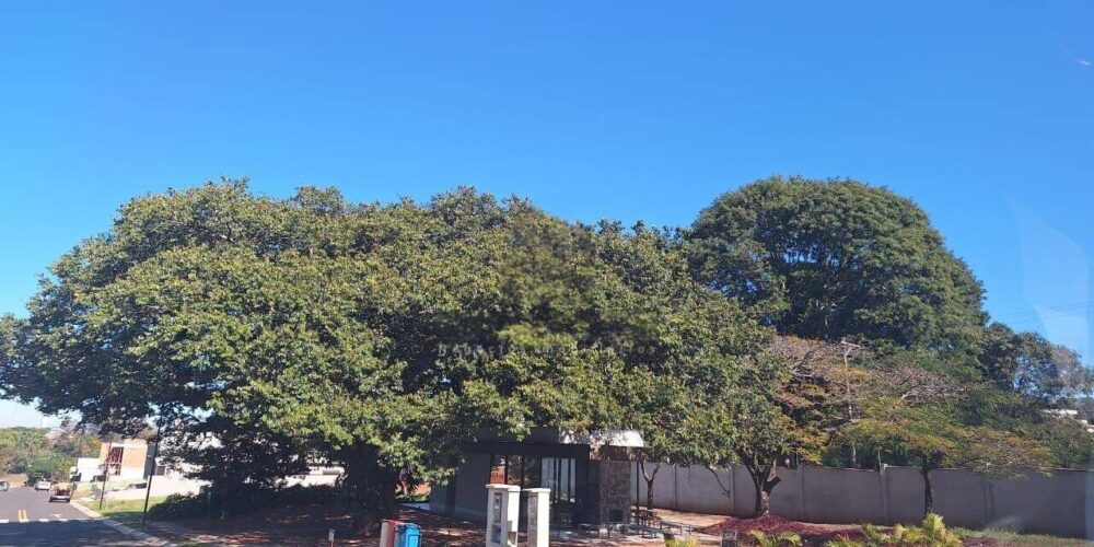 572b84971a9e020cfe0f4d9f