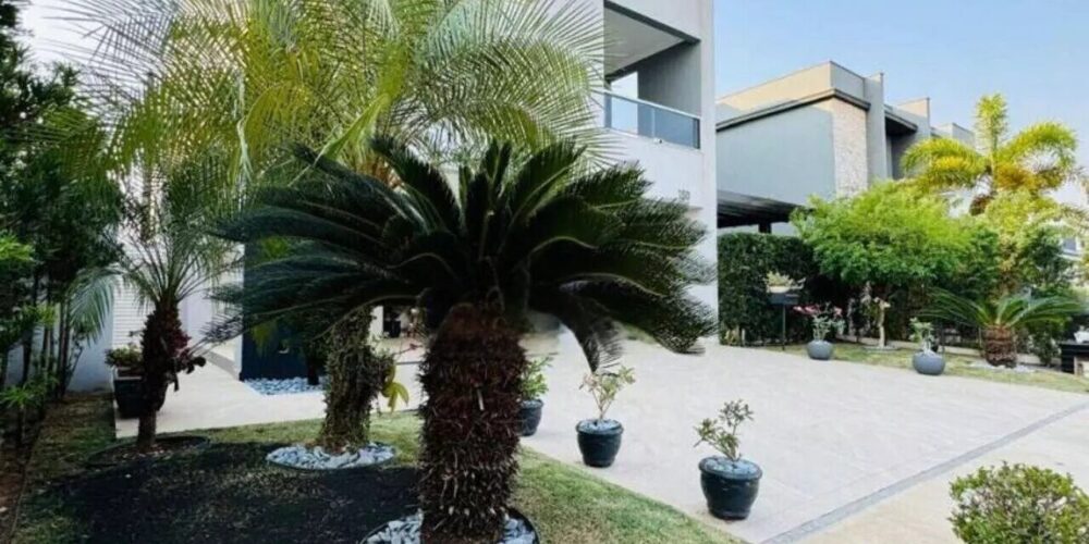 9ced7737dc1dc69a37d6c1e4